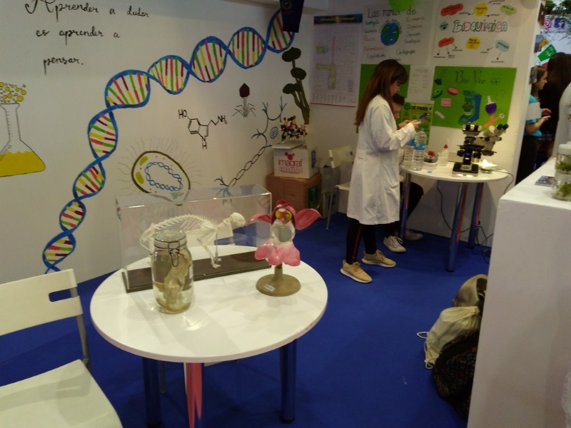 IMG 20190403 101446502 (Copy)